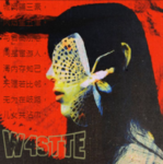 W4STTE
