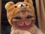 blueb3rries