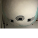 Mehfhdjxj