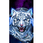 ~*The Tiger Squad*~