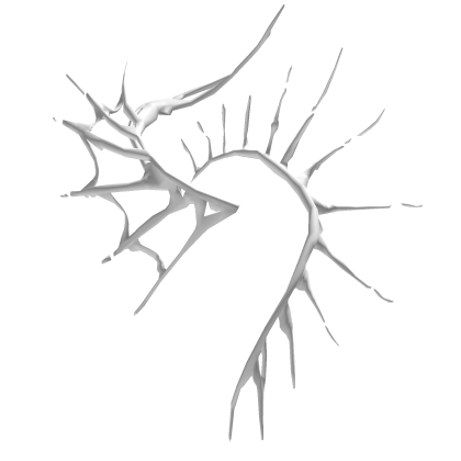 White Halo of Bones