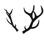 Black Sparkle Time Antlers