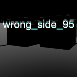 Wrong side 95