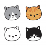 gatitos mas lindo del mundo