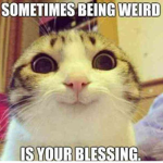 bE WEirD yAll :)