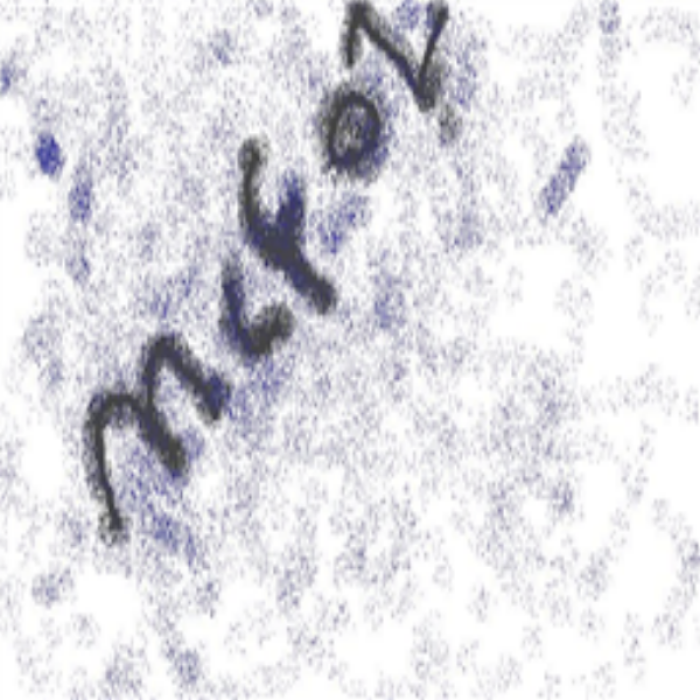 mcfoz (spray paint) Roblox decal