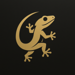 Yellow Gecko Studio