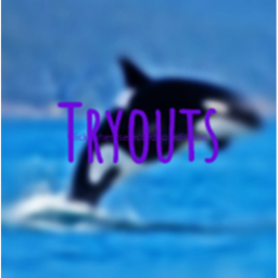 Tryouts