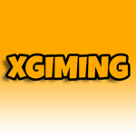 Xgiming group
