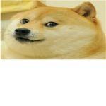 Doge squad :3
