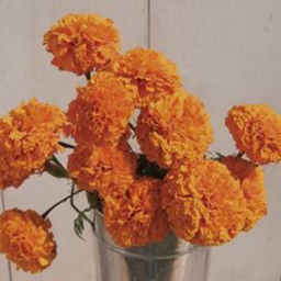 🧡you