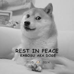 Doge rip