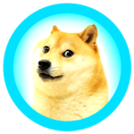Its DOGE Studios