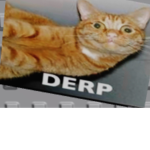 Kitty gang of roblox