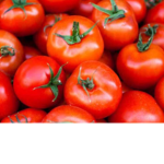 Mateo’s Tomato Group