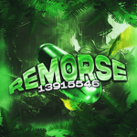 彡 remorsę