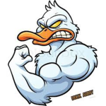 The duck army, quack quack