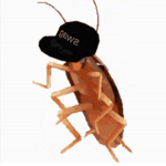 |§| Roach Radcals |§|