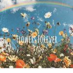 * - Flowers Forever - *