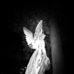 conjure;