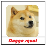 DOGGO SQUAT