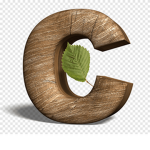 CINNABOWL C