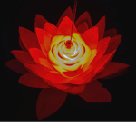 The Fiery Lotus