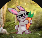 Carrotbunny
