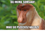 kozacy_XD