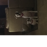 Lexi and Ami