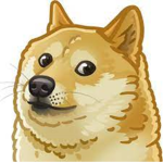Dogecorperated