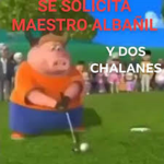 Los Pelo Tocinos