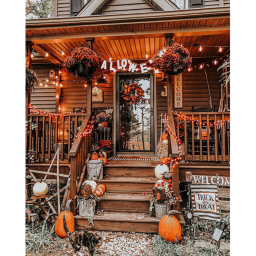 Sabby's homestore!