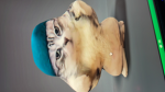 The_Raptor_Army