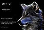 SNFF FG !
