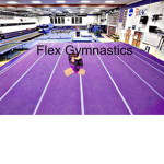 Flex Gymnastics