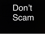 The ant-scam group