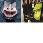Dat gum and joe clan
