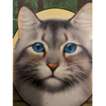 The cat meadow