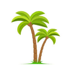Palm Studios {PS}