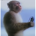monke people cool