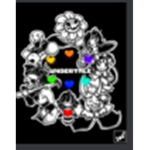 Dostlar Ve Undertale Fan