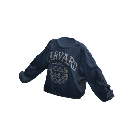 School Sweater (Blue) thumbnail
