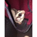 Hiiiiiiiiiiiii:)