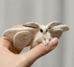 The Moth Club