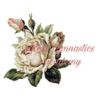 ~Rose gymnastics academy~