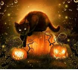 Halloween maze