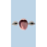 LesliesChickens