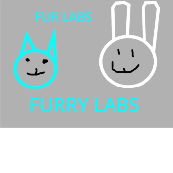 Fur labs Research site 2