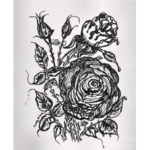 Demon Roses